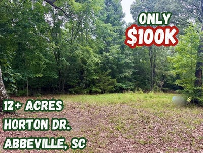 /international/us/12-acres-horton-dr-abbeville-sc-110108849162/