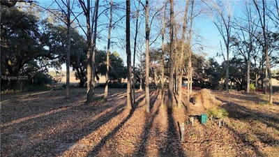 /international/us/91-castle-hill-drive-yemassee-sc-110109005885/