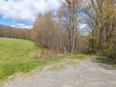 /international/us/l25-fuller-district-road-jefferson-ny-110107801404/