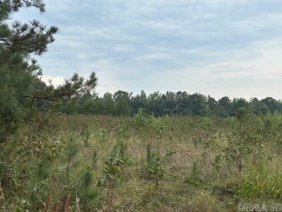 /international/us/clear-creek-rd-malvern-ar-110106331713/