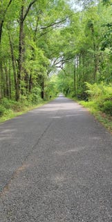 /international/us/170-ellis-road-tallahassee-fl-110082808887/