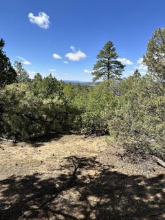 /international/us/99-private-drive-1781a-chama-nm-110102167078/
