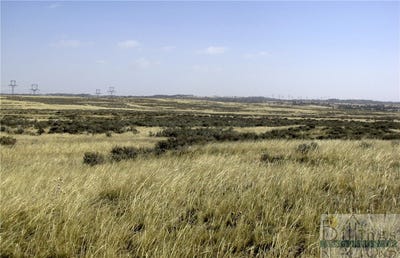 /international/us/nhn-lindstrom-road-shepherd-mt-110095607377/
