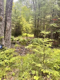 /international/us/22a-pierce-pond-road-penobscot-me-110107400485/