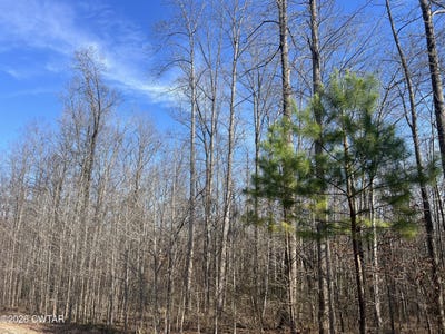 /international/us/240-war-eagle-dr-lot-121-cedar-grove-tn-110104542174/