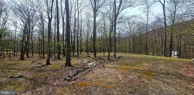 /international/us/goldenseal-road-lot-46-maysville-wv-110107438535/