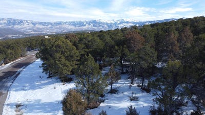 /international/us/30-pinon-road-w-ridgway-co-110105499846/