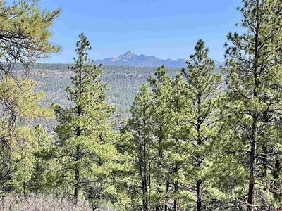 /international/us/252-starlight-place-pagosa-springs-co-110101339307/?lang=zh-cn