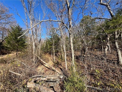 /international/us/lot-213-geranamo-lane-rocky-mount-mo-110096876598/?lang=en