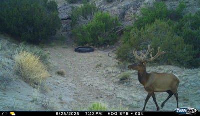 /international/us/000-tba-quemado-nm-110093807379/