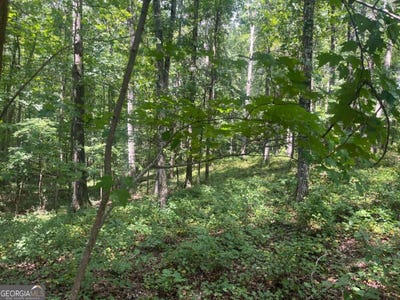 /international/us/2061-henry-scott-rd-lot-a-2-9-acres-ball-ground-ga-110101271820/?lang=zh-tw