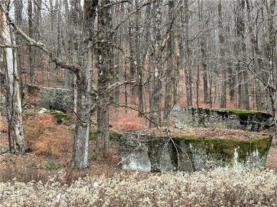 /international/us/upper-punchbowl-road-roscoe-ny-110098998750/
