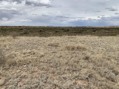 /international/us/e-cummings-lot-78-avenue-moriarty-nm-110107233027/