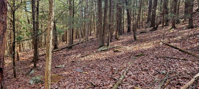 /international/us/155-merry-hill-road-bartonsville-pa-110098994580/?lang=zh-tw