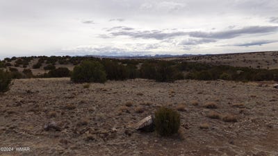 /international/us/0-concho-valley-concho-valley-az-110090312115/