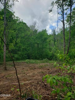 /international/us/397-moore-hollow-road-newport-tn-110101002595/