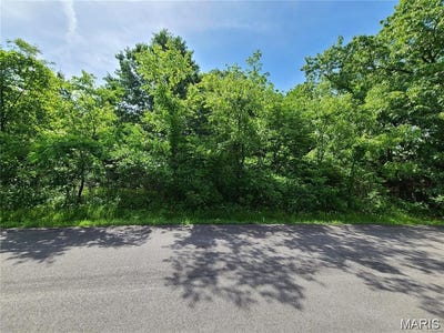 /international/us/10312-turkey-trail-drive-hillsboro-mo-110100348948/?lang=en