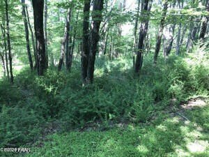 /international/us/111-koch-road-tafton-pa-110120113324/