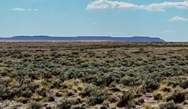 /international/us/tbd-county-road-n7012-40-acres-chambers-az-110098156861/