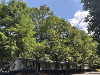/international/us/209-cemetary-lane-jonesborough-tn-110108854980/