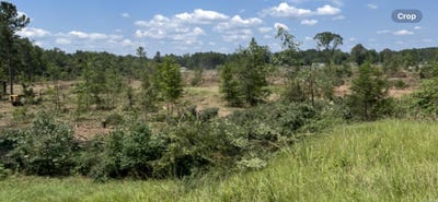 /international/us/000-hwy-167-fordyce-ar-110100676999/