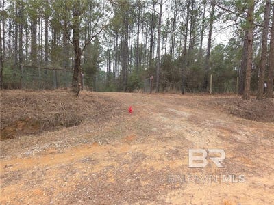 /international/us/chunchula-landfill-road-chunchula-al-110105780572/