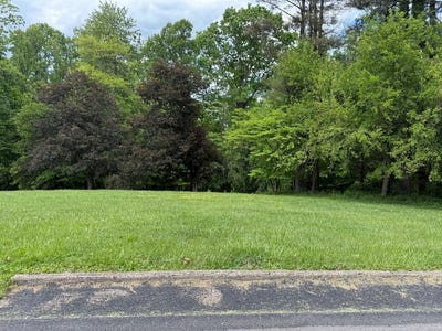 /international/us/920-maple-lane-sistersville-wv-110108301480/