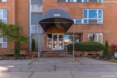 /international/us/205-mineola-boulevard-mineola-ny-110108827096/