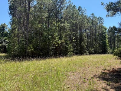 /international/us/old-greenwood-highway-abbeville-sc-110108747870/