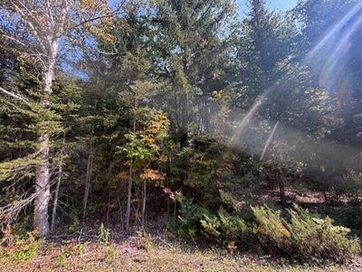 /international/us/belfair-drive-lot-258-presque-isle-mi-110102687999/