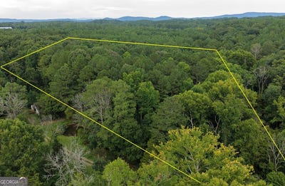 /international/us/honeysuckle-circle-lot-129-ranger-ga-110120484571/