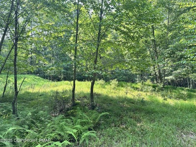/international/us/timber-hill-rd-3c-henryville-pa-110120453496/