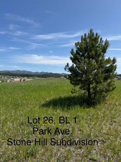 /international/us/lot-26-park-avenue-custer-sd-110100358240/?lang=zh-tw