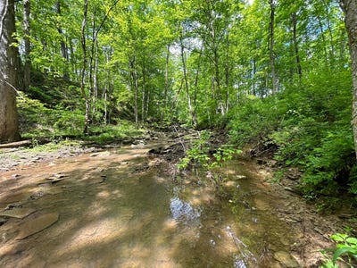 /international/us/0-buchanan-road-waverly-oh-110100241948/