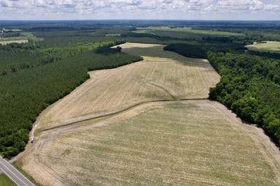 /international/us/83-03-acres-birch-creek-rd-andrews-sc-110109122390/