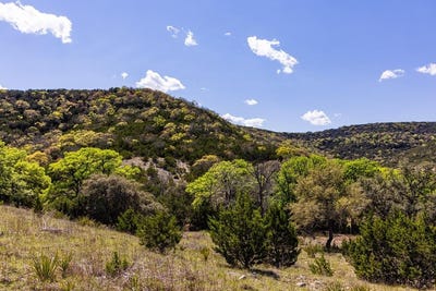 /international/us/nw-hwy-16-medina-tx-110100970631/