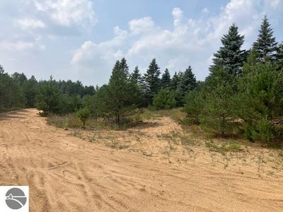 /international/us/parcel-f-n-2-1-2-road-buckley-mi-110088425051/?lang=zh-cn