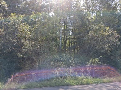 /international/us/kehoe-road-lot-2-sandy-creek-ny-110110019208/