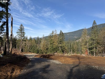 /international/us/e-belle-lake-rd-rhododendron-or-110105709413/