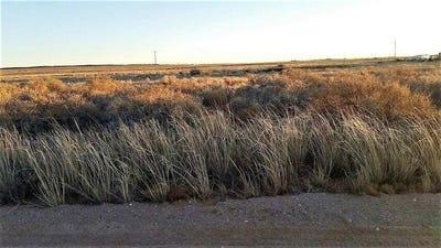 /international/us/windward-lot-43-drive-edgewood-nm-110110298131/