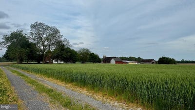 /international/us/12633-connelly-road-cordova-md-110107819138/