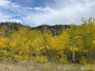 /international/us/53-ada-ct-red-feather-lakes-co-110098211021/