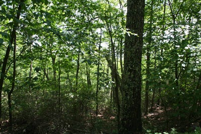 /international/us/43-high-valley-south-monterey-va-110100400979/