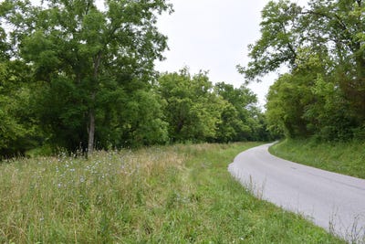 /international/us/1540-snag-creek-road-foster-ky-110100797597/?lang=zh-cn