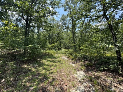 /international/us/17-acres-hard-luck-lane-windsor-sc-110100511921/?lang=zh-cn