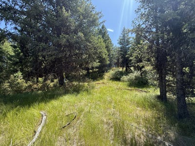 /international/us/135-slippery-hill-ln-republic-wa-110100771149/