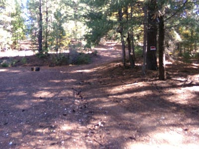 /international/us/tcz-mcadams-ck-rd-fort-jones-ca-110103201255/