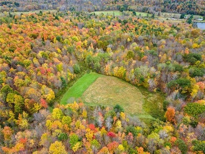 /international/us/734-post-road-franklin-ny-110108148567/