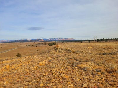 /international/us/68-acres-commercial-land-johns-valley-rd-bryce-ut-110088342670/