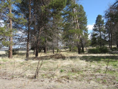 /international/us/longhorn-loop-chiloquin-or-110084271065/?lang=en